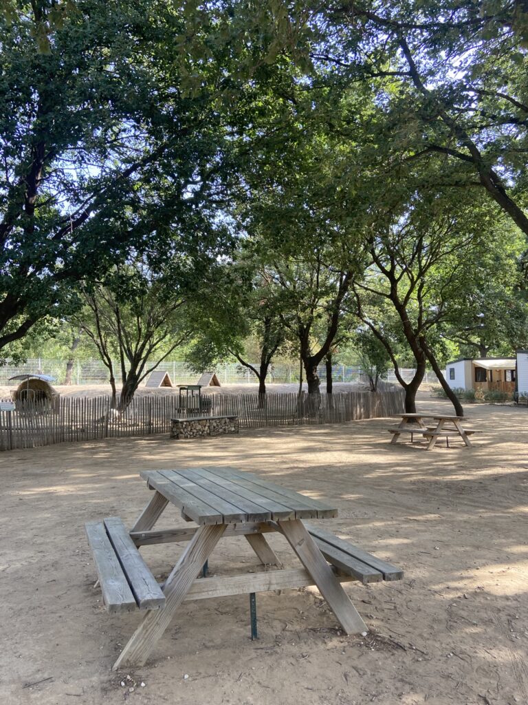 Espace détente du Camping LA Sardane avec table de pique-nique - Situé à la mini ferme