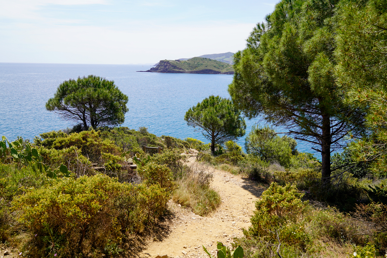 Natuur op camping La Sardane