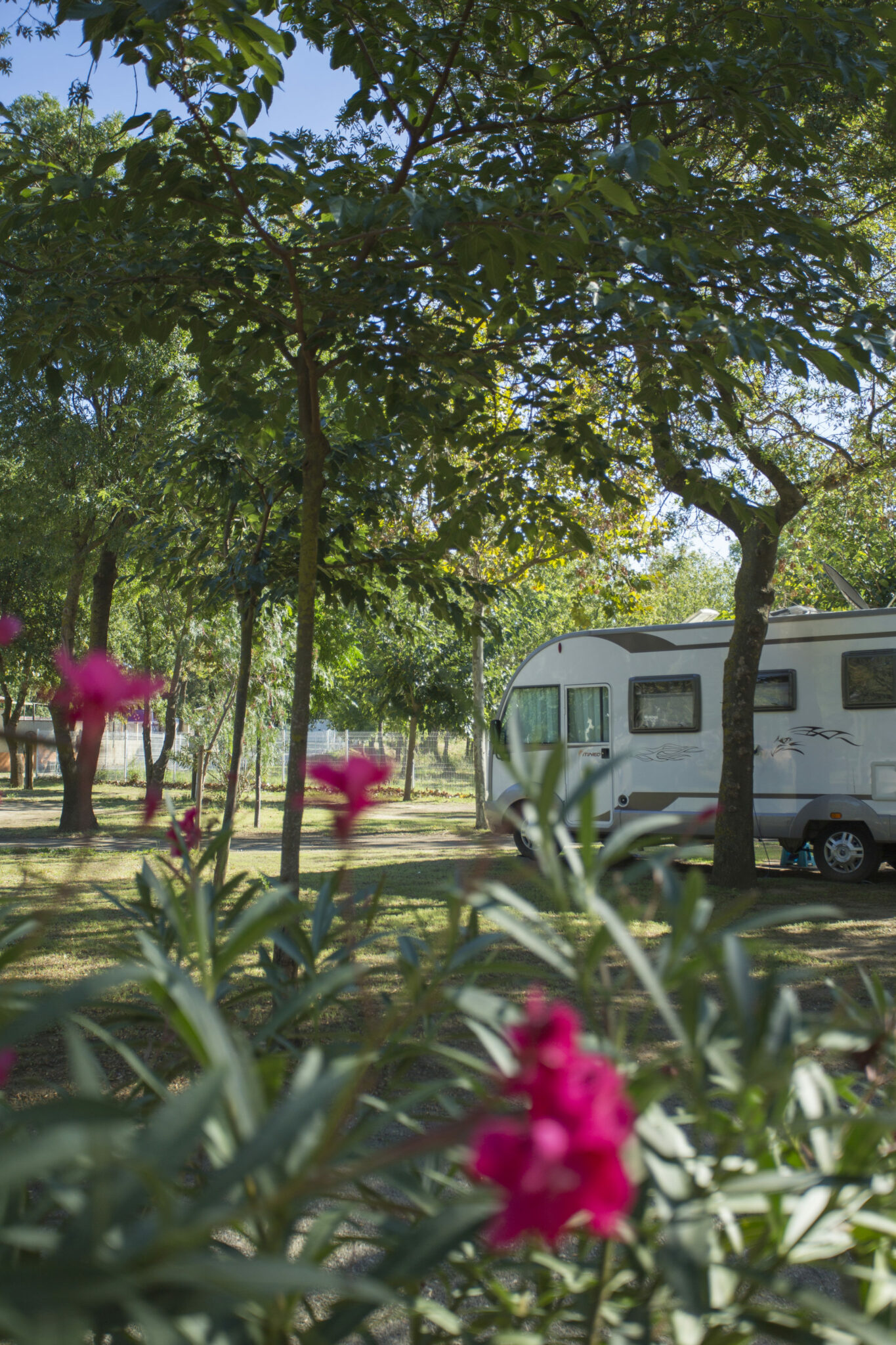 Campsite rental in Argeles sur mer