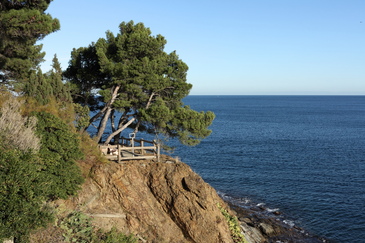 camping à argeles sur mer avec piscine olympique chauffée