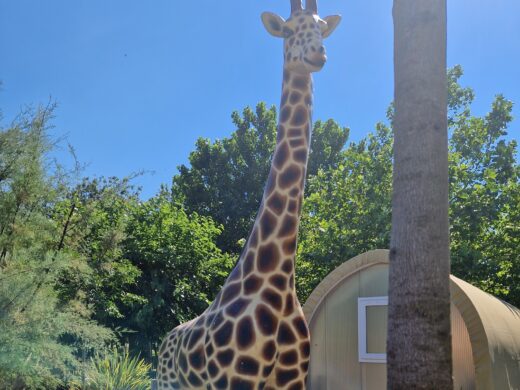 Coco Savane volledig ingerichte tent