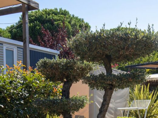 Mobil-home Mandarin – Spa