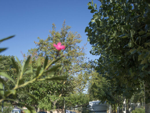 Location d'emplacement camping à Argeles sur mer