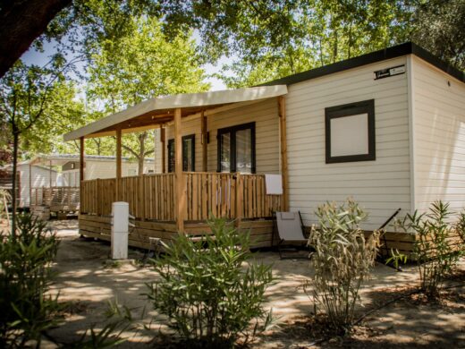 Mobile home Baby Family