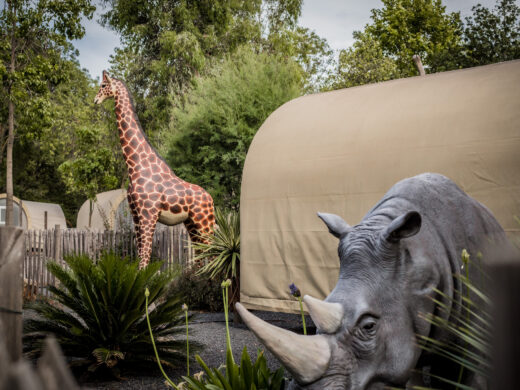 Coco Savane volledig ingerichte tent