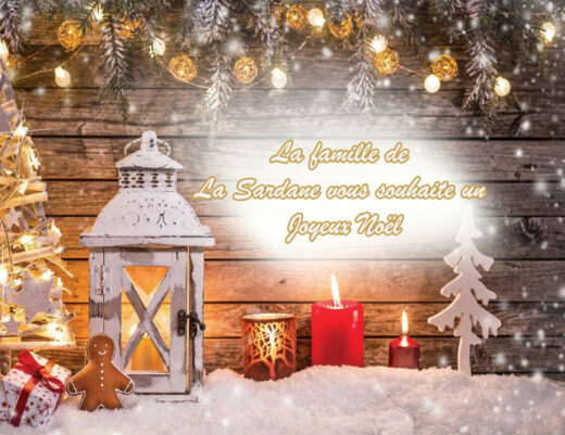 JOYEUX&#x20;NO&#x00CB;L