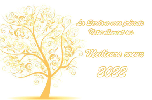 HAPPY&#x20;NEW&#x20;YEAR&#x20;2022