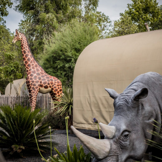 Savane